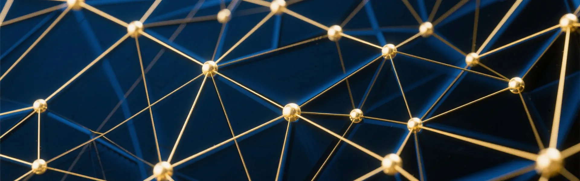 Data Network Background